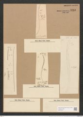 Nitzschia sigma var. curvula (Ehr.b.)? Brun. (de-Toni-Nr.: Genus 47, Species 2099) Zeichnungen Sammlung Grunow Nr. 4183 (NHMW-BOT-W0372077)
